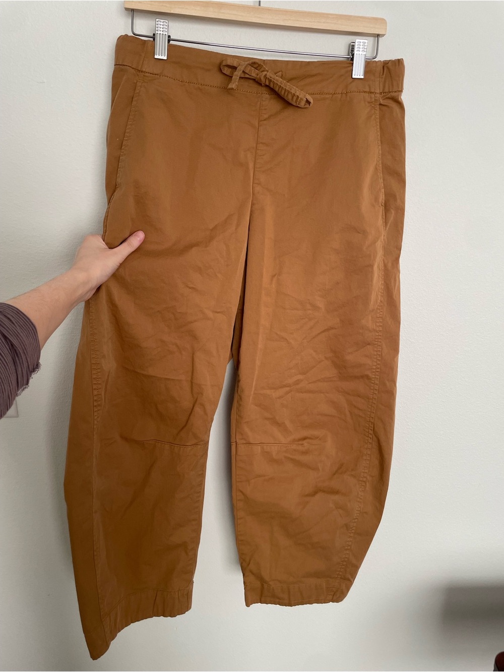 Everlane Barrel Pants Size Medium